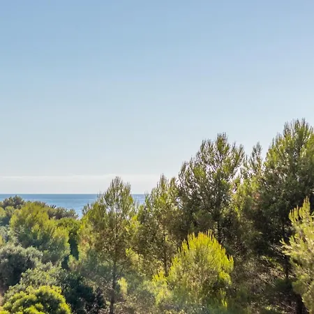 Apartamento Carmen * 德尼亚