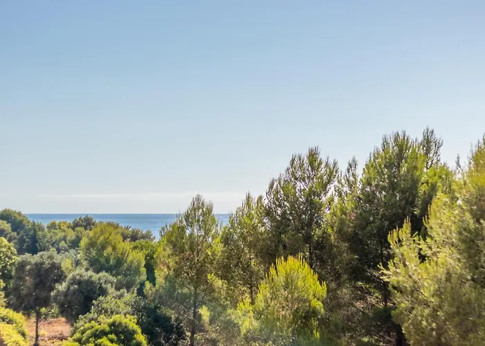 Apartamento Carmen * 德尼亚